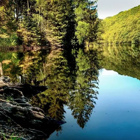 Διαμέρισμα Haus Oberkirchen Naehe Winterberg Bis 20 P Schmallenberg