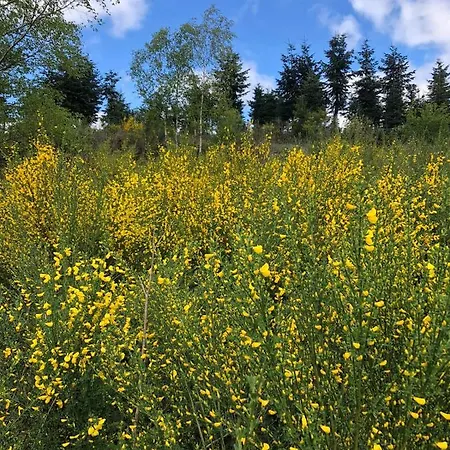 Haus Oberkirchen Naehe Winterberg Bis 20 P Appartement