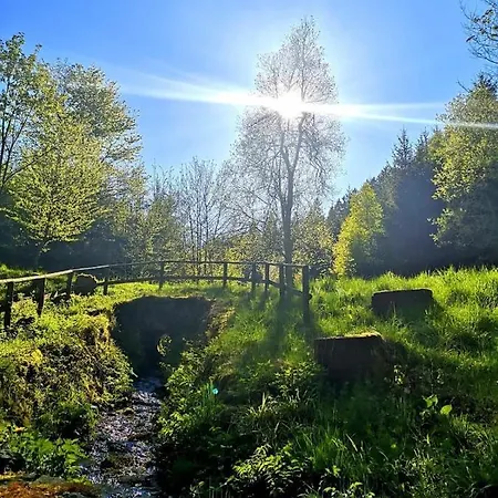 Haus Oberkirchen Naehe Winterberg Bis 20 P Διαμέρισμα *