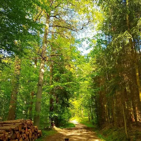 Appartement Haus Oberkirchen Naehe Winterberg Bis 20 P Schmallenberg