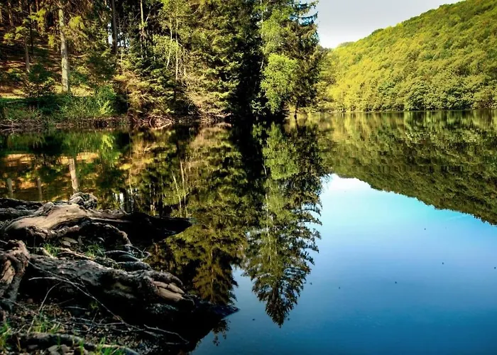 Lejlighed Haus Oberkirchen Naehe Winterberg Bis 20 P Schmallenberg