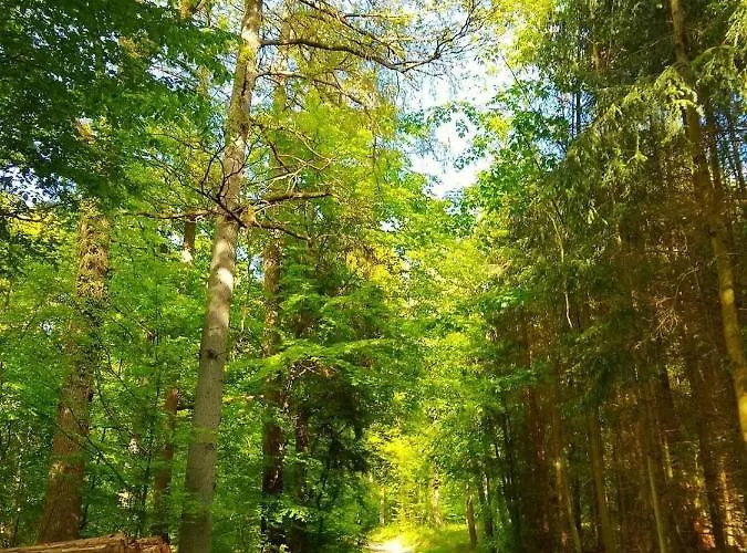 Lejlighed Haus Oberkirchen Naehe Winterberg Bis 20 P Schmallenberg